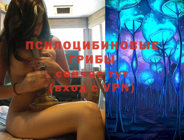 крисы Нефтегорск